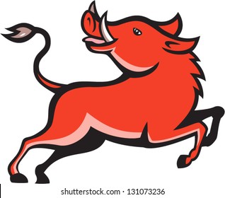 Illustration of wild hog pig razorback prancing on isolated background.