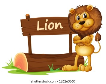 Illustration of a wild lion on a white background