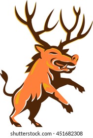 Illustration of a wild pig boar razorback with antlers prancing viewed from front set on isolated white background done in retro style. 