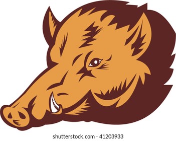 illustration of a wild pig done in woodcut style