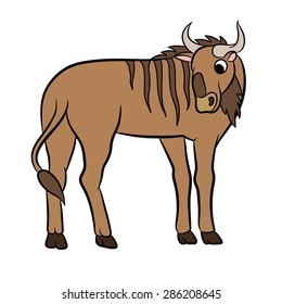 Illustration of a wildebeest.