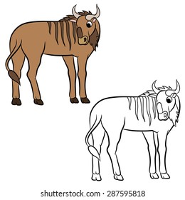 Illustration of a wildebeest. Coloring page.