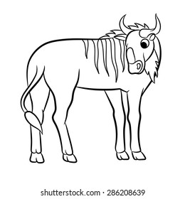 Illustration of a wildebeest outlined.