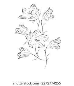 illustration of wildflowers the bells are decorated in a linear continuous drawing style in black in a modern style suitable illustration for book covers logo design and printing