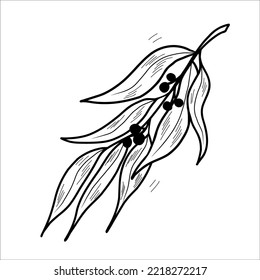 Ilustración de una rama de sauce. Conjunto de ramas con hojas. Ilustración vectorial de contorno.