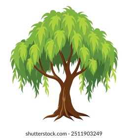 Ilustración del árbol de sauce aislado en blanco