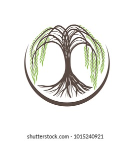 Illustration Of Willow Tree Round Logo Design