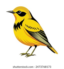 illustration of a wilson's warbler bird