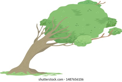 Illustration of a Windswept Tree Leaning to the Right Because of Strong Wind