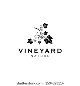 Illustration Wine grape logo design template Vector 