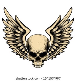 Illustration of winged skull in tattoo style isolated on white background. Design element for logo, label, badge, sign. Vector illustration