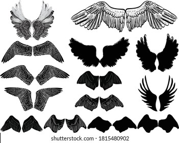 illustration with wings and birds isolated on white background