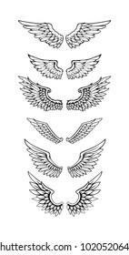 Illustration Of Wings Collection Set