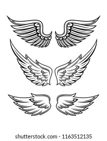 Illustration Of Wings Collection Set