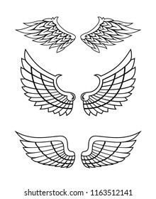 Illustration Wings Collection Set Stock Vector (Royalty Free ...