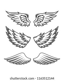 Illustration Of Wings Collection Set
