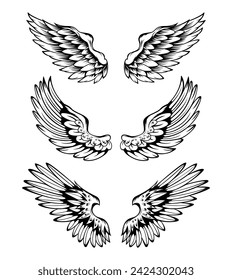 Illustration Of Wings Collection Set