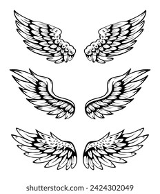 Illustration Of Wings Collection Set