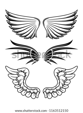 Illustration Of Wings Collection Set
