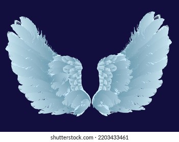 illustration with wings isolated on blue background