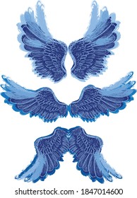 illustration with wings isolated on white background