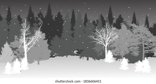 illustration with winter dark forest on grey background