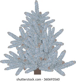 illustration with winter fir isolated on white background