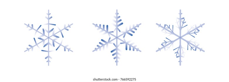 Illustration of a winter flower with an illustration vector