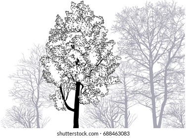 illustration with winter trees isolated on white background