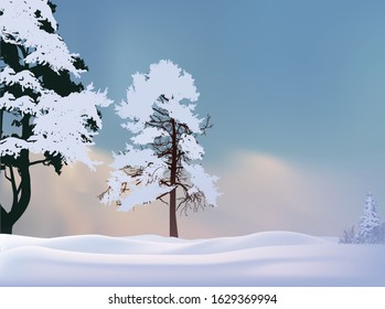 ilustración con árboles de invierno en la nieve