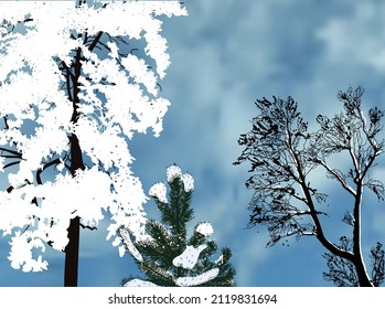 illustration with winter trees in snow