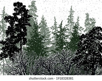ilustración con árboles de invierno en la nieve aislados en fondo blanco