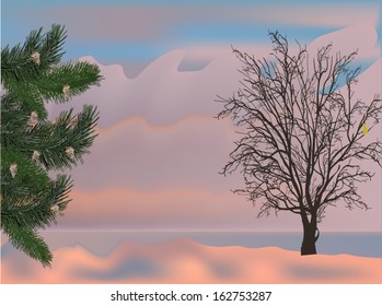 ilustración con árboles de invierno al atardecer