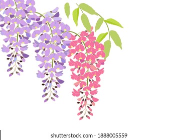 35 8件の 藤の花 の画像 写真素材 ベクター画像 Shutterstock