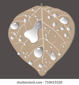 Illustration of a withered autumn leaf in drops of dew. Autumn motif. Element for design, logo, emblem. Isolated on dark.