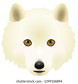 Illustration of the wolf