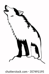 Illustration of the wolf