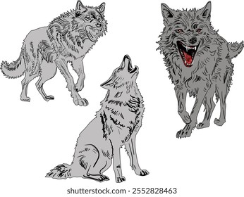 ilustração com coleção de lobos isolada sobre fundo branco