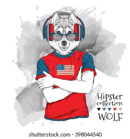 Illustration of wolf dressed up in the glasses and in the t-shirt with print of USA flag. Vector illustration.