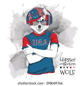 Illustration of wolf  dressed up in the glasses and in the t-shirt with print of USA flag. Vector illustration.