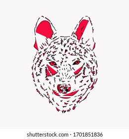 
illustration of a wolf head sketch on a white background