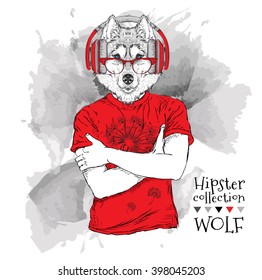 Illustration of wolf hipster dressed up in t-shirt, pants and  in the glasses and headphones. Vector illustration.