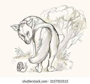 Illustration of wolf looking at snail. Wildlife forest animals. Hand-drawn vector image for children fairy tale book. Printable cartoon drawing. Fantasy sketch in pen and ink style.