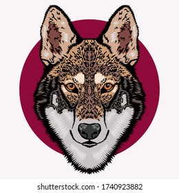 
illustration of a wolf's head. suitable for clothes, jackets, posters and others