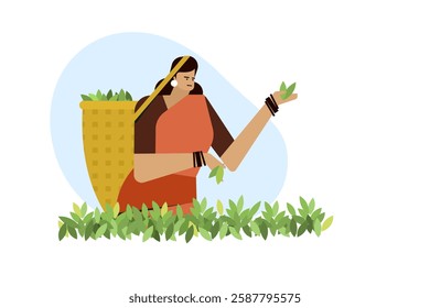 Illustration of a woman plucking tea leaves from a plantation