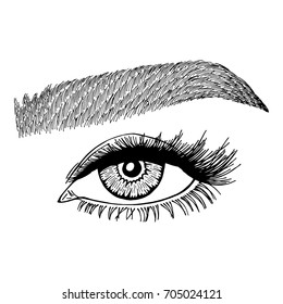 Illustration with woman's eye and eyebrow. Makeup Look. Tattoo design. 