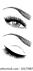 Illustration with woman's eye, eyebrows and eyelashes. Makeup Look. Tattoo design. 