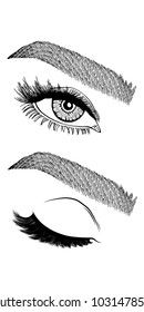 Illustration with woman's eye, eyebrows and eyelashes. Makeup Look. Tattoo design.