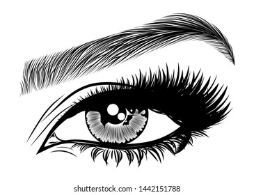 Illustration With Woman's Eye, Eyelashes And Eyebrow. Makeup Look. Tattoo Design. Logo For Brow Bar Or Lash Salon.