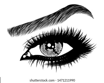 Illustration with woman's eye, eyelashes and eyebrow. Makeup Look. Tattoo design. Logo for brow bar or lash salon.